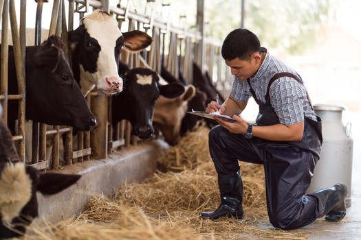 Dairy Farmers Gather in Washington to Discuss Priorities with Lawmakers