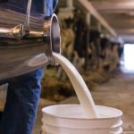 Dairy Farmers of America reported that its net sales increased by nearly 27% in 2022.