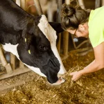 Dairy Farms in Your Watershed