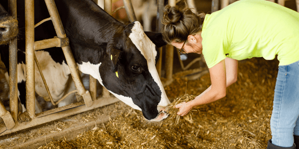 Dairy Farms in Your Watershed