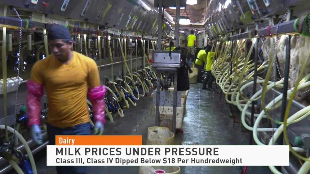 Dairy Report Milk Prices Remain Under Pressure