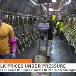 Dairy Report Milk Prices Remain Under Pressure