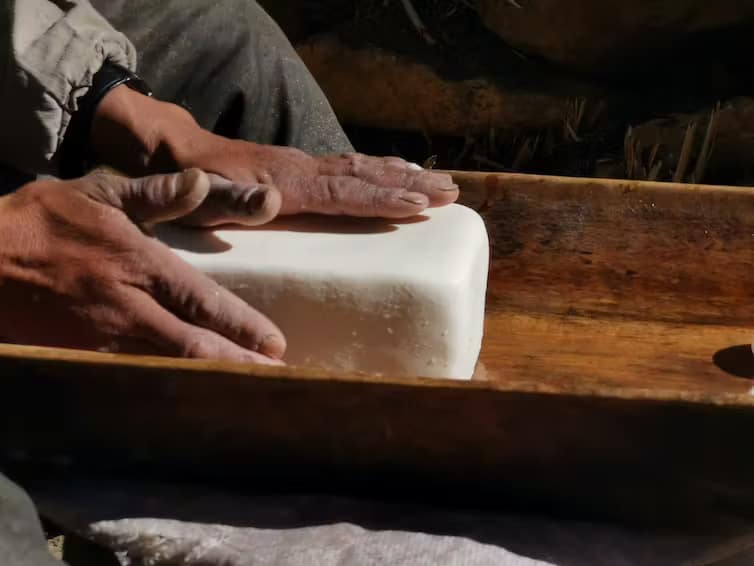 Modern Tibetan pastoralists make butter from yak milk.