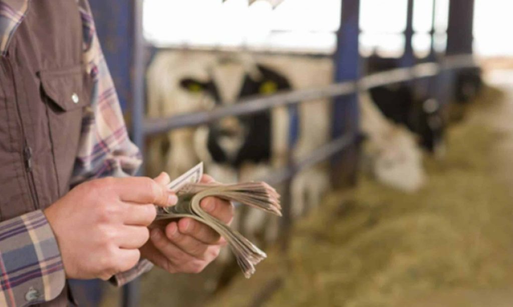 Farm Bureau calls for comprehensive milk pricing reform (1)