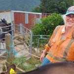 Farmer researches safety in dairy sheds to help reduce harm on farms