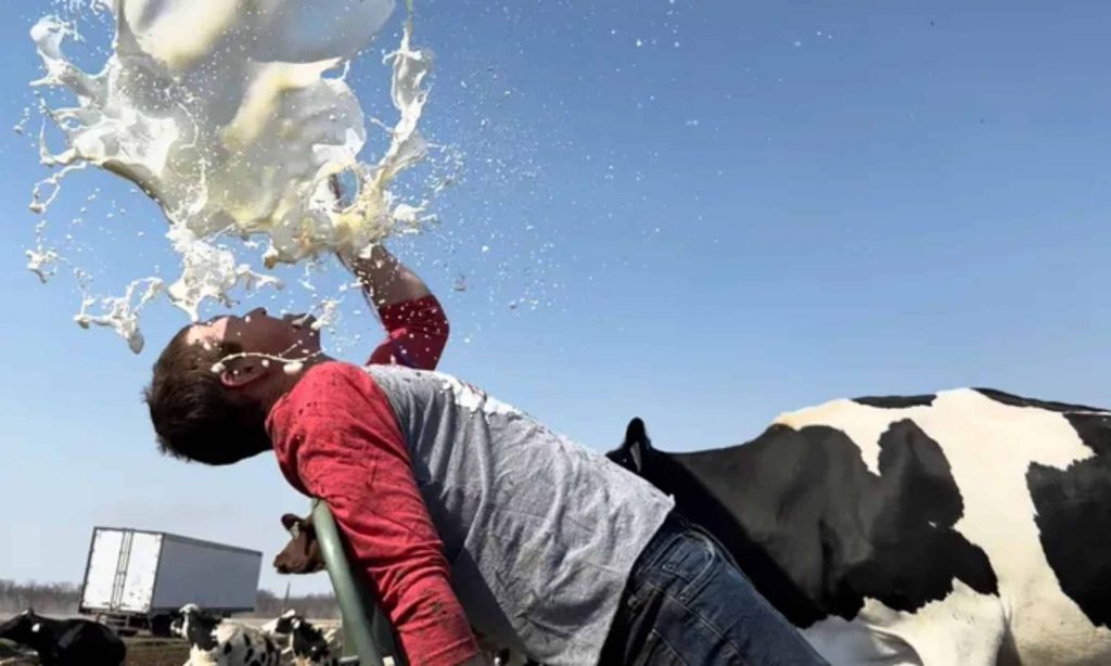 'Flashdance' but with milk How one Iowa dairy is making milk sexy again (1)