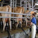 More processors announce milk price cuts for May