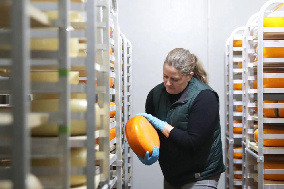 Anna Thomas Bates of Landmark Creamery in Paoli selects a wheel of Sweet Annie, a Gouda-style cheese, from one of the company's cheese caves.