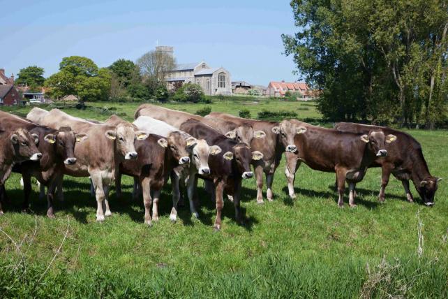 Norfolk dairy farmer hails untapped potential of biogas1