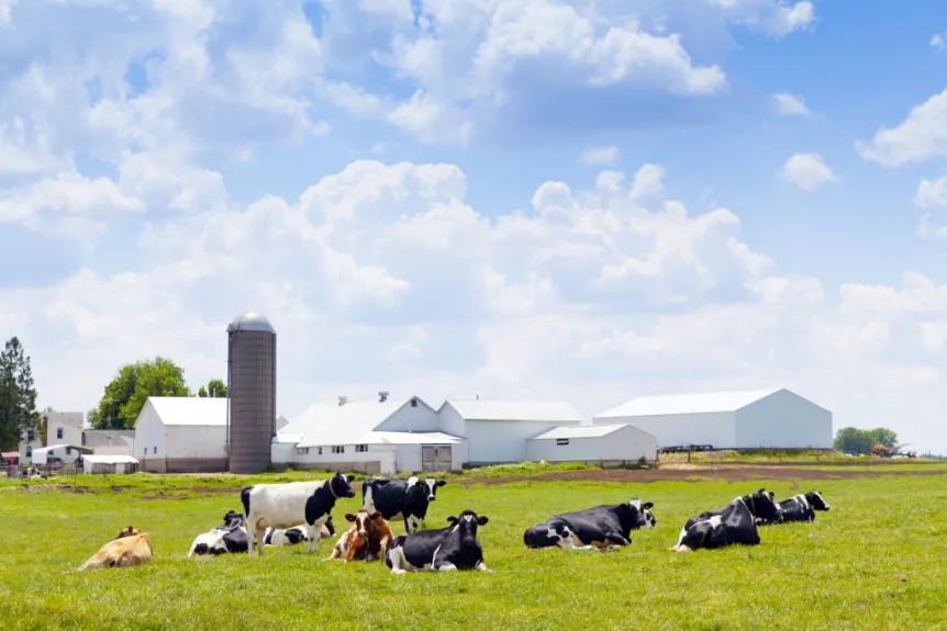 Number of dairy herds in US fell in 2022