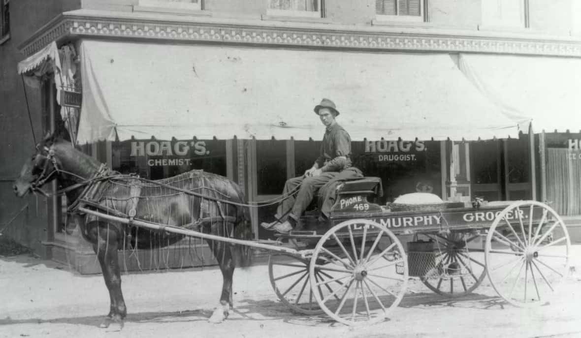 Horses may be the first animal that comes to mind when most people think of 19th century urban areas, but Hirtenfelder says cows were also a common sight. 