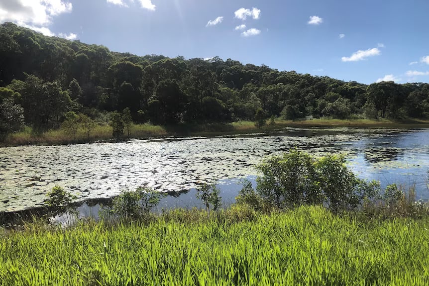 Kelly's Dam is an award-winning water source. 