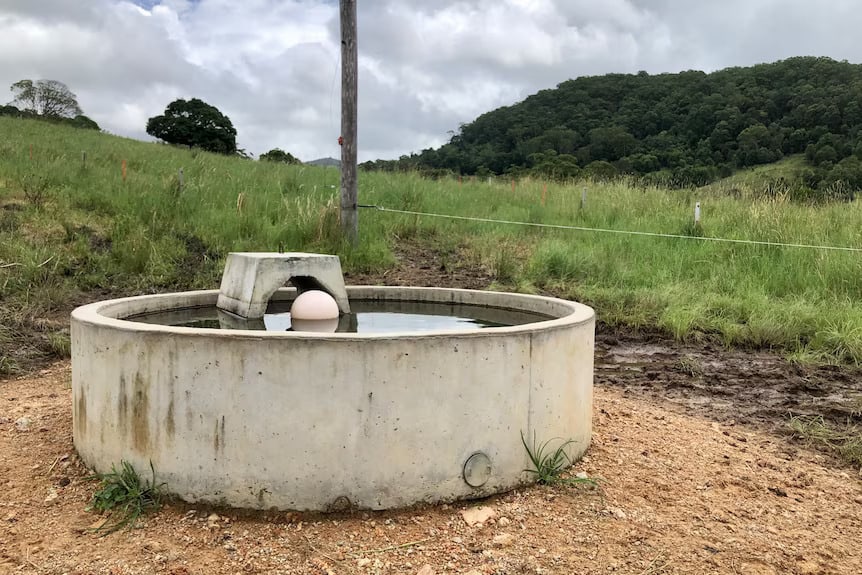 Water troughs provide cleaner drinking water.