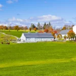 U.S. Dairy Leading on Climate Coalition