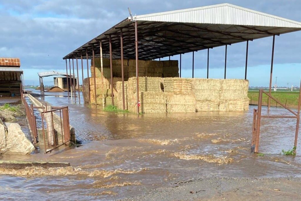 USDA outlines support for California farmers affected by floods