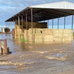 USDA outlines support for California farmers affected by floods