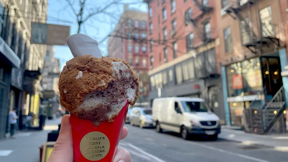 Seasonal S'mores oat milk ice cream cone sold at Whipped - Urban Dessert Lab in New York City. 