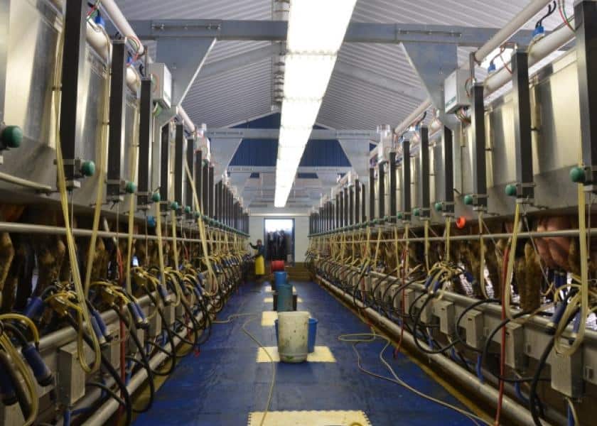 A Slow Spring Squeeze for Dairy