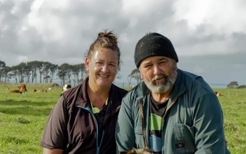 Stuart and Delwyn Honeyfield are fourth-generation farmers on their Taranaki farm, which is home to their Te Matai pedigree Ayrshire stud.