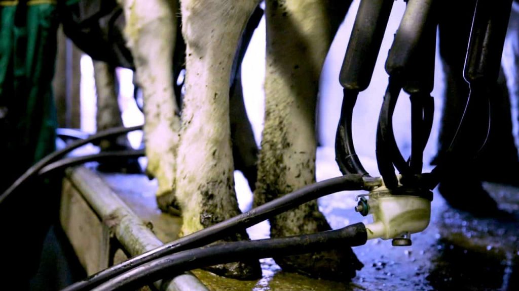 Cost ‘shortfall’ looming warns European Milk Board