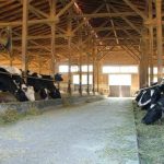 Dairy Industry Innovation Assessment Tool identifies new technologies