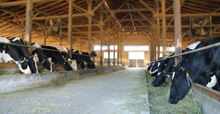 Dairy Industry Innovation Assessment Tool identifies new technologies