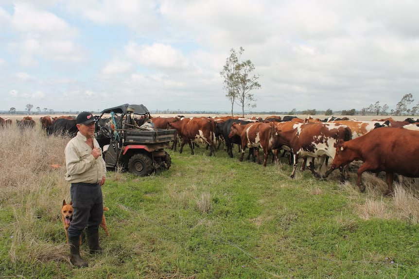 Dairy farmer uses multi-species, legumes and charcoal to combat climate change1 conv