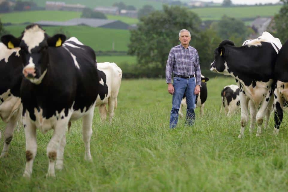 Dairy farmers watch cautiously as milk prices drop