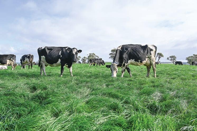 Forage Value Index tables are helping dairy farmers choose the best product to increase their net profits.