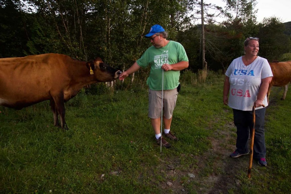 Funds to help organic dairy farmers pay bills pass the Vt. Senate