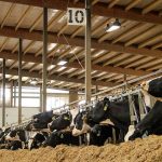 How Can Dairy Producers Utilize Carbon Credits to Benefit Climate and Their Bottom Lines