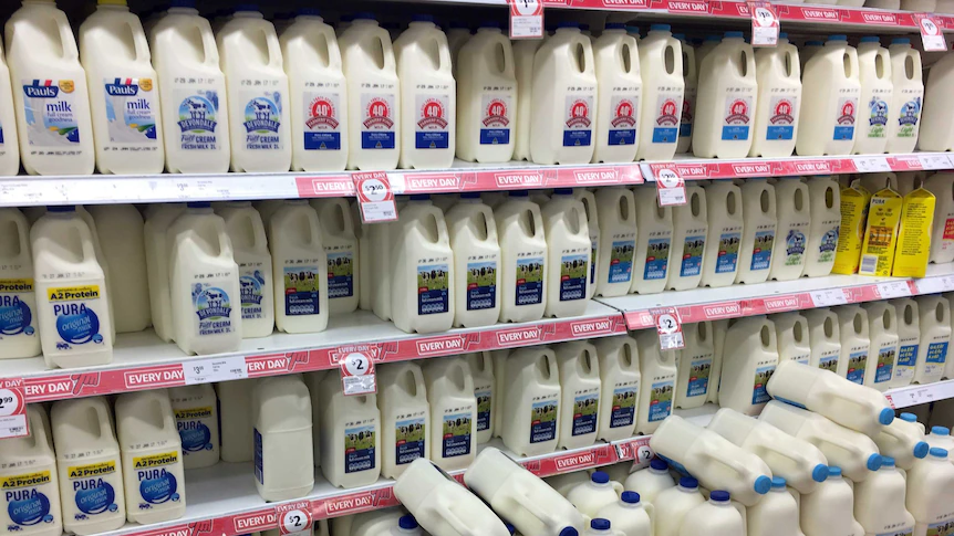 Milk price drop leaves dairy farmers worried about their future in the industry