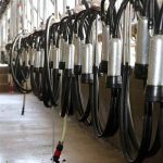 Milk production season dribbles to close