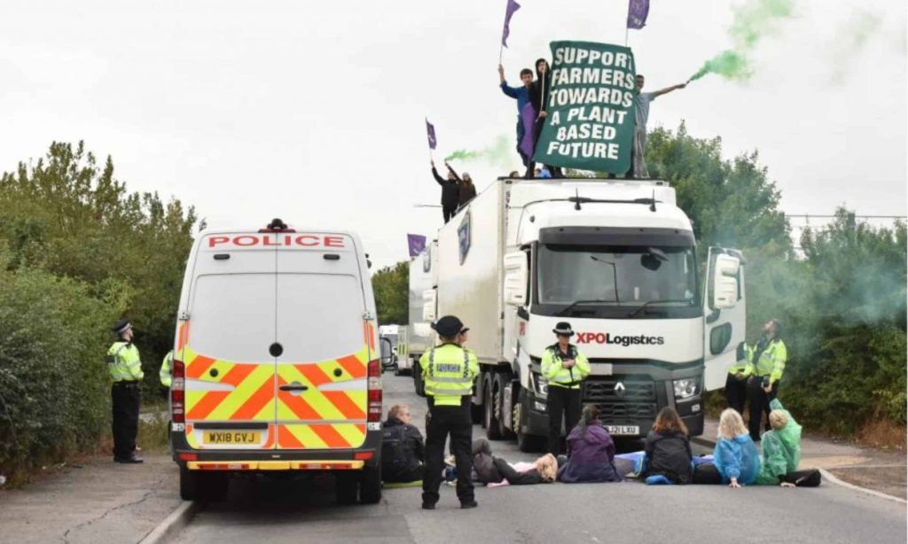 Norwich women in court over Animal Rebellion dairy protest