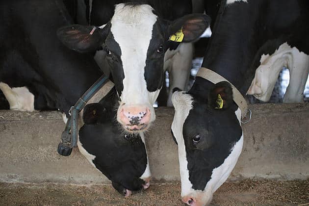 ORGANIC DAIRY MARKETING ASSISTANCE AND GAS PRICES UNCHANGED1