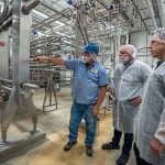 Organic Valley, operating again in Mac, looks toward the future of dairy