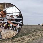 Southern Idaho College Will Soon Be Home To America's largest research dairy