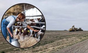 Southern Idaho College Will Soon Be Home To America's largest research dairy