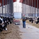 Technology is reinventing dairy production — and it’s helping farmers keep pace