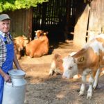 USDA Offers Assistance to Help Organic Dairy Producers