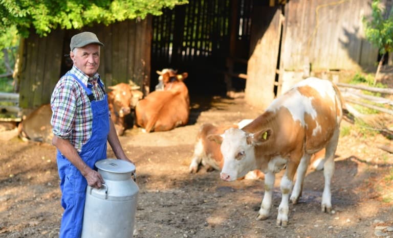 USDA Offers Assistance to Help Organic Dairy Producers