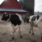 Wisconsin author Michael Perry tackles farmers’ mental health struggles