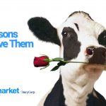 8 Reasons to Love Dairy Cows