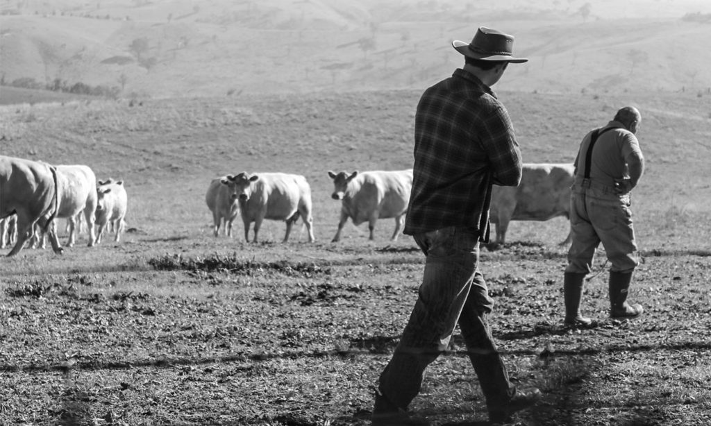 American Farm Family encourages the next generation of California dairy producers