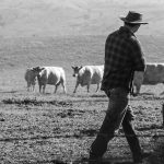 American Farm Family encourages the next generation of California dairy producers