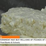 Dairy Demand Game Changer U.S. Government Could Soon Buy 47 Million Pounds of Cheese.S. Government Could Soon Buy 47 Million Pounds of Cheese