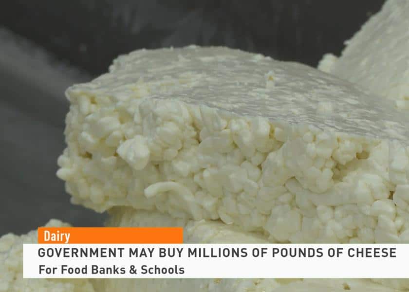 Dairy Demand Game Changer U.S. Government Could Soon Buy 47 Million Pounds of Cheese.S. Government Could Soon Buy 47 Million Pounds of Cheese