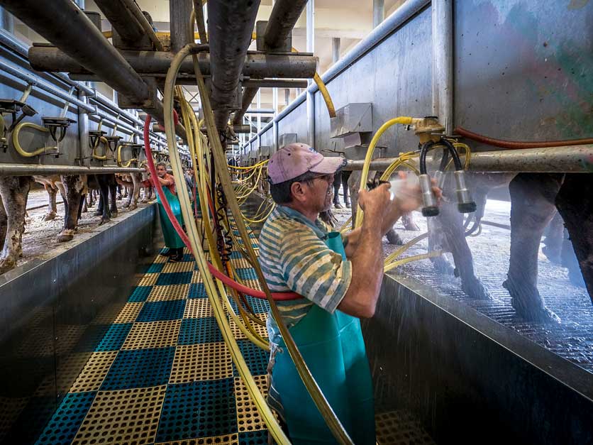 Dairy Farmers of America withdraws from IDFA over FMMO proposal