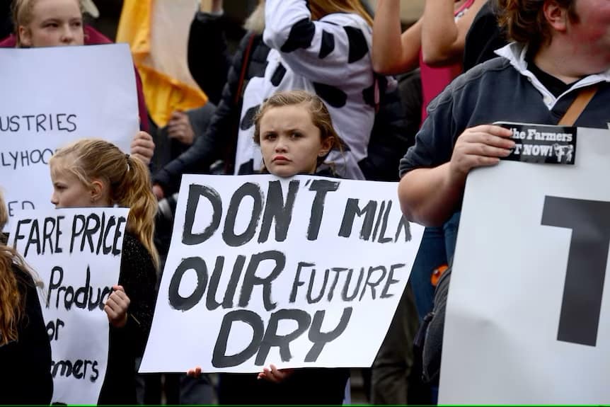 Dairy farmers' Fonterra class action payout slashed after $12 million for legal fees, funders