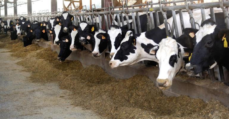 Dairy farmers have margin on their minds